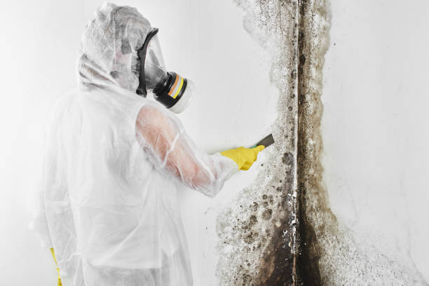 Best Mold Testing  in Golden Hills, CA