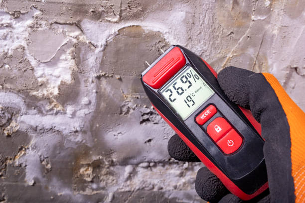 Best Fast Mold Removal  in Golden Hills, CA