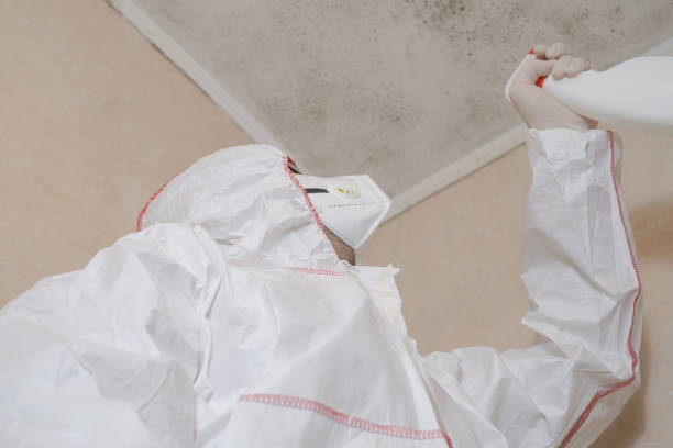 Best Mold Damage Repair  in Golden Hills, CA