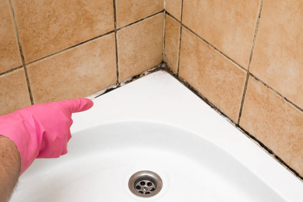 Best Black Mold Removal  in Golden Hills, CA